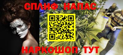 spice Заводоуковск