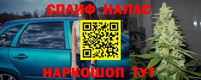 стаф Жуковский