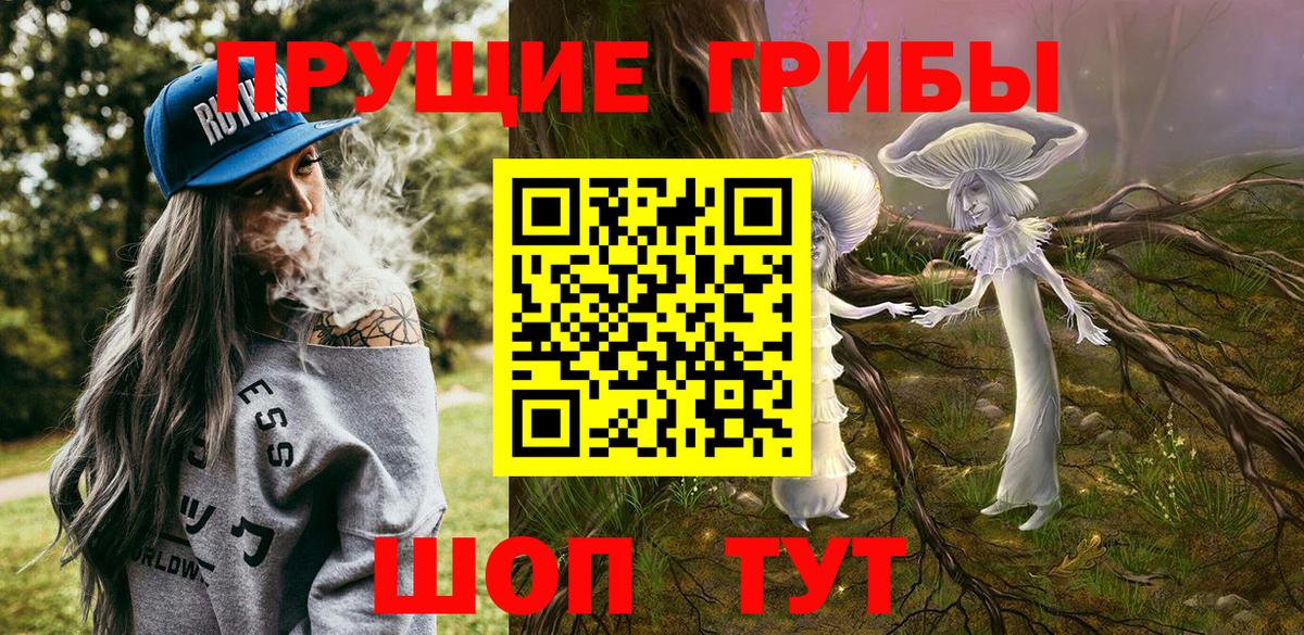 Галлюциногенные грибы прущие грибы Королёв